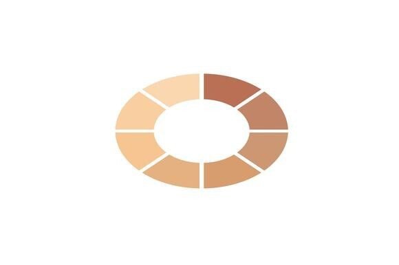 Understanding the Skin Color Palette Level Icon Vector
